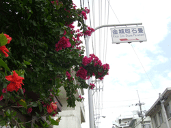 201004okinawa2